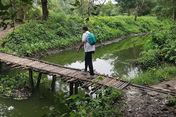 Walk the Kolkata Wetlands: Green Eye Candy - Key highlights worth your time