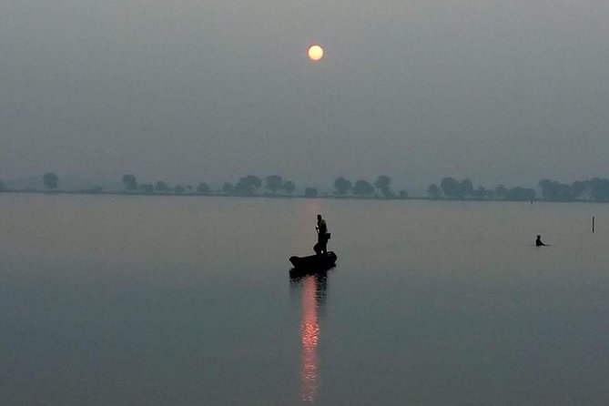 Walk the Kolkata Wetlands: Green Eye Candy - Price and timing: value of a private wetlands walk