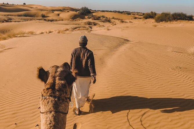 Wild Desert Overnight Safari - Day 1: jeep safari time through the dunes near Jaisalmer