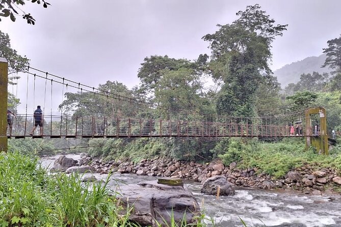 Wild Elephant Anakulam & Waterfalls Tour(munnar valley Trekking) - Why Anakulam is the star of the show for wild elephants