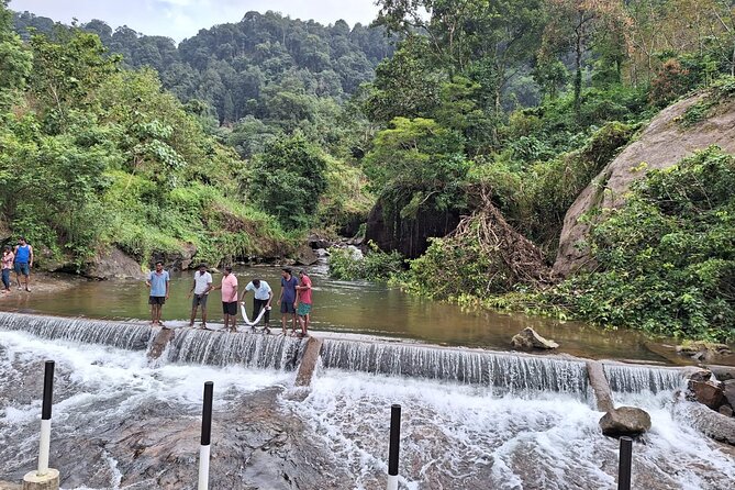 Wild Elephant Anakulam & Waterfalls Tour(munnar valley Trekking) - Elephant viewpoint timing, patience, and how to make the wait worth it
