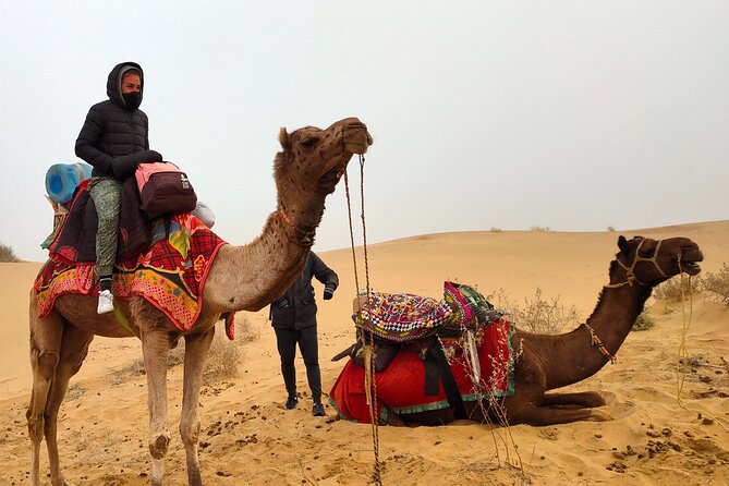 Wonderlust Desert & Camel Safari with Rumi Caravan of Thar Desert - Camel Ride in the Thar: What 45 Minutes Feels Like