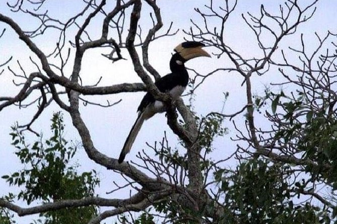 Yala Safari Private Day Tour Kaluthara/Beruwala/Bentota/Kosgoda/Ahungalla - Language support and the human side of Dimtours Sri Lanka