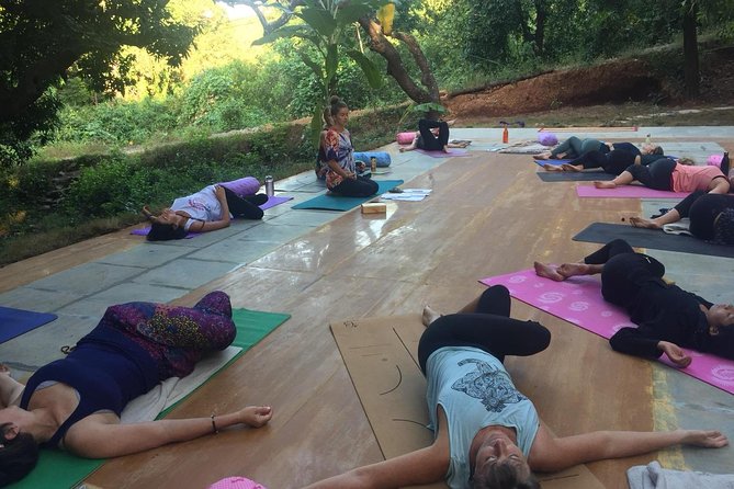 Yin Yoga Therapy Training - 200 Hours (Yoga Alliance) - Inside the practice: meridians, chi flow, and mindful release